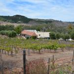 TourdSoCal_1_0397 (September 12, 2015)